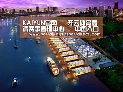 案例展示八