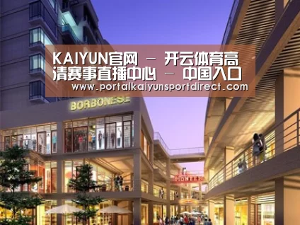 案例展示一