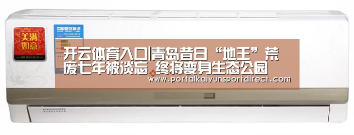 开云体育入口|青岛昔日“地王”荒废七年被淡忘 终将变身生态公园(图2) 开云平台