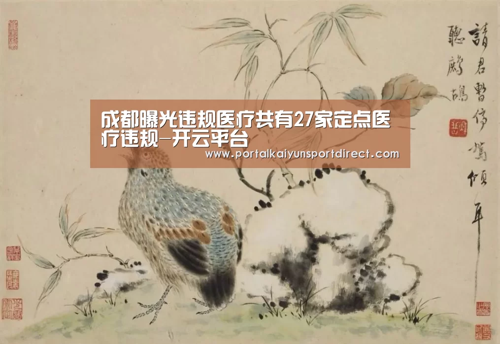 成都曝光违规医疗共有27家定点医疗违规-开云平台(图1) KAIYUN中国站